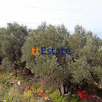 Land plot in Montenegro