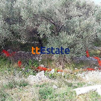 Land plot in Montenegro