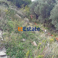 Land plot in Montenegro