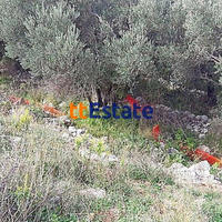 Land plot in Montenegro