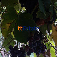 Дом в Черногории, 55 кв.м.