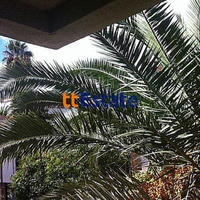 Flat in Montenegro, Budva, 32 sq.m.