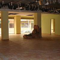 Другая коммерческая недвижимость в Испании, Валенсия, Аликанте, 299 кв.м.