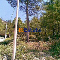 Земельный участок в Черногории