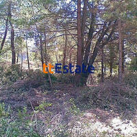 Земельный участок в Черногории