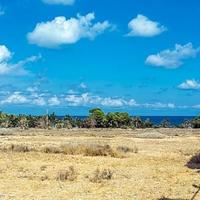 Apartment in Spain, Comunitat Valenciana, Alicante, 50 sq.m.