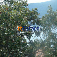 Flat in Montenegro, 98 sq.m.