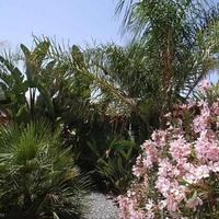 Villa in Republic of Cyprus, Protaras, 133 sq.m.