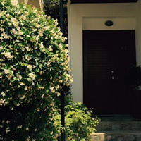 Villa in Republic of Cyprus, Lemesou, 310 sq.m.