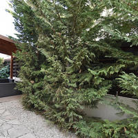 Вилла на Кипре, Лимасол, 140 кв.м.