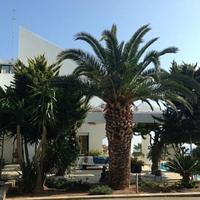 Вилла на Кипре, Лимасол, 690 кв.м.