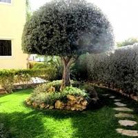 Villa in Republic of Cyprus, Lemesou, 262 sq.m.