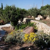 Вилла на Кипре, Лимасол, 629 кв.м.