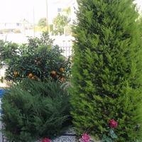 Вилла на Кипре, Лимасол, 232 кв.м.