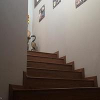 Вилла на Кипре, Лимасол, 380 кв.м.