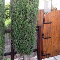 Таунхаус на Кипре, Лимасол, 140 кв.м.