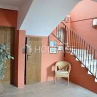 Villa in Spain, Canary Islands, Santa Cruz de Tenerife, 8850 sq.m.