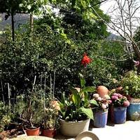 Townhouse in Republic of Cyprus, Lemesou, Nicosia, 90 sq.m.