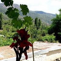 Townhouse in Republic of Cyprus, Lemesou, Nicosia, 90 sq.m.