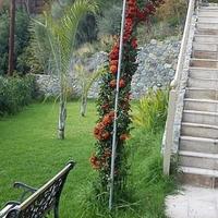 Villa in Republic of Cyprus, Lemesou, Nicosia, 380 sq.m.