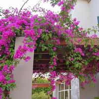 Villa in Republic of Cyprus, Lemesou, 260 sq.m.