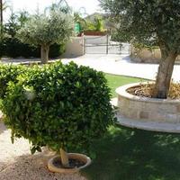 Вилла на Кипре, Лимасол, 380 кв.м.