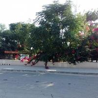 Villa in Republic of Cyprus, Lemesou, 240 sq.m.