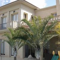 Вилла на Кипре, Лимасол, 550 кв.м.