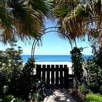 Вилла на Кипре, Пафос, 300 кв.м.