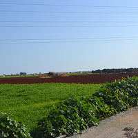 Таунхаус на Кипре, Протарас, 140 кв.м.