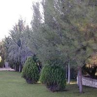 Вилла на Кипре, Лимасол, 289 кв.м.