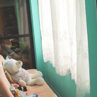 Other commercial property in Republic of Cyprus, Eparchia Pafou, Nicosia, 500 sq.m.