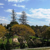 Other in Republic of Cyprus, Lemesou, 211 sq.m.