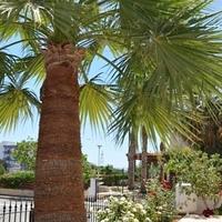 Villa in Republic of Cyprus, Protaras, 150 sq.m.