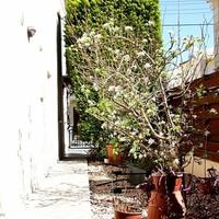 Вилла на Кипре, Лимасол, 220 кв.м.