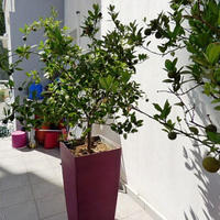 Apartment in Republic of Cyprus, Lemesou, 127 sq.m.