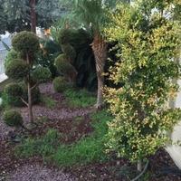 Penthouse in Republic of Cyprus, Lemesou, 335 sq.m.