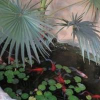 Вилла на Кипре, Лимасол, 149 кв.м.