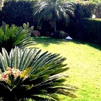 Apartment in Republic of Cyprus, Lemesou, 117 sq.m.