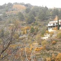 Вилла на Кипре, Лимасол, Никосия, 100 кв.м.