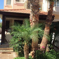 Townhouse in Republic of Cyprus, Lemesou, 95 sq.m.