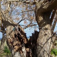 Apartment in Republic of Cyprus, Eparchia Pafou