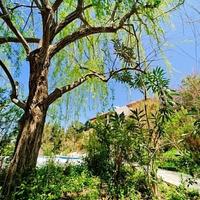 Villa in Republic of Cyprus, Eparchia Pafou, Nicosia, 500 sq.m.