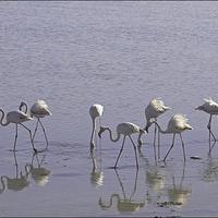 Другая коммерческая недвижимость на Кипре, Ларнака, 185 кв.м.