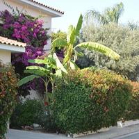 Другая коммерческая недвижимость на Кипре, Ларнака, 185 кв.м.