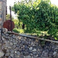 Other commercial property in Republic of Cyprus, Lemesou, Nicosia, 240 sq.m.