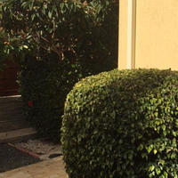 Villa in Republic of Cyprus, Lemesou, 185 sq.m.