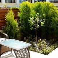 Townhouse in Republic of Cyprus, Lemesou, 126 sq.m.