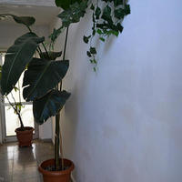 Апартаменты на Кипре, Протарас, 50 кв.м.