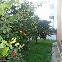 Вилла в Турции, 180 кв.м.